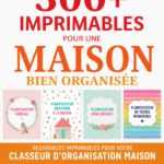 Classeur de gestion de maison avec printables gratuits pour s'organiser facilement